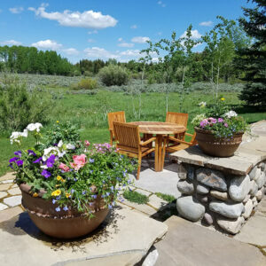 Lawn Care, Tree Care, Planters and Patios